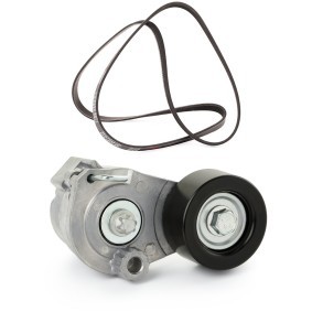 Achetez des Jeu de courroies trapézoïdales à nervures RIDEX PLUS 542R0100P à prix pour 70,66 €