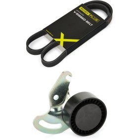 Keilrippenriemensatz von RIDEX PLUS