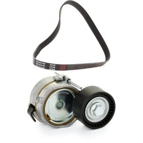 Achetez des Jeu de courroies trapézoïdales à nervures RIDEX PLUS 542R0586P à prix pour 57,19 €