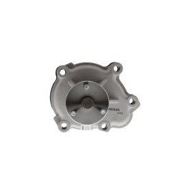 Achetez des Pompe à eau AISIN WE-OP24 à prix pour 39,67 €