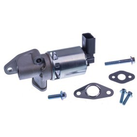 AGR-Ventil E400020