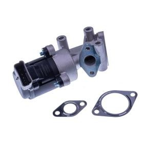 AGR-Ventil E400029