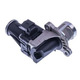 AGR-Ventil E400036