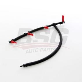 Achetez des Tuyau, carburant de fuite BSG BSG 11-725-001 à prix pour 41,08 €