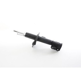 Stoßdämpfer BSG 16-300-029 von BSG günstig für 79,67 € online kaufen