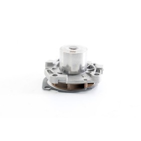 Achetez des Pompe à eau BSG BSG 25-500-007 à prix pour 48,90 €