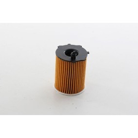 Köp Oljefilter av BSG BSG 30-140-020 till det låga priset 459,97 kr
