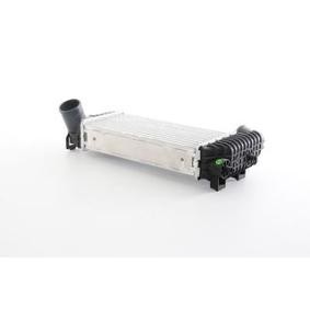 Köp Intercooler av BSG BSG 30-535-014 till det låga priset 1622,11 kr