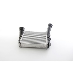 Köp Intercooler av BSG BSG 90-535-019 till det låga priset 2246,37 kr