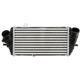 Köp Intercooler av THERMOTEC DA05015TT till det låga priset 1112,39 kr