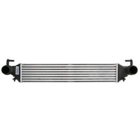 Köp Intercooler av THERMOTEC DAF019TT till det låga priset 1033,16 kr