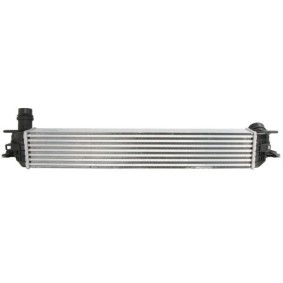 Ausgleichsbehälter DBR019TT