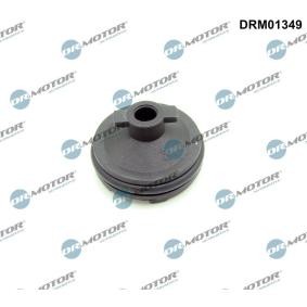 Verschlussschraube, Ölwanne von DR.MOTOR AUTOMOTIVE
