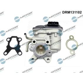 Comprar Válvula EGR de DR.MOTOR AUTOMOTIVE DRM131102 a bajo precio de 158,82 €