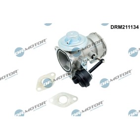 Achetez des Vanne EGR DR.MOTOR AUTOMOTIVE DRM211134 à prix pour 53,42 €