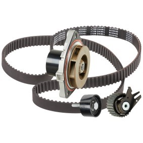 Achetez des Kit de distribution + pompe à eau RIDEX 3096W0465 à prix pour 132,77 €