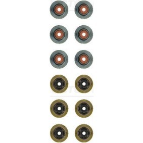 Comprar Juego de juntas, vástago de válvula de REINZ 12-21042-01 a bajo precio de 126,56 €