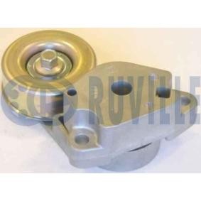Achetez des Galet tendeur de courroie d'accessoire RUVILLE 541828 à prix pour 158,70 €