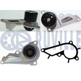 Achetez des Pompe à eau RUVILLE 561725 à prix pour 65,55 €