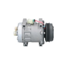 Acquista Compressore aria condizionata da BV PSH 090.305.003.311 a buon mercato per soli 314,58 €
