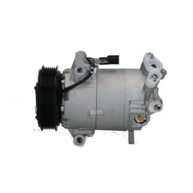 Klimakompressor von BV PSH 090.555.155.310