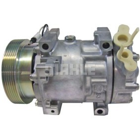 Acquista Compressore aria condizionata da BV PSH 090.575.019.311 a buon mercato per soli 398,34 €