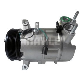 Acquista Compressore aria condizionata da BV PSH 090.845.020.311 a buon mercato per soli 459,09 €