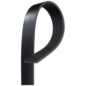 Acquista Cinghia servizi da GATES 8PK1305 a buon mercato per soli 32,48 €