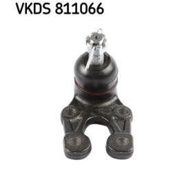 Kennzeichenleuchten Glühlampe des Herstellers SKF - Originalware Artikelnummer: VKDS 811066