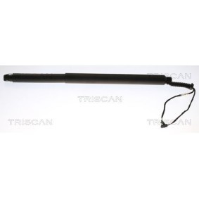 Achetez des Vérin de coffre TRISCAN 8710 29312 à prix pour 242,97 €