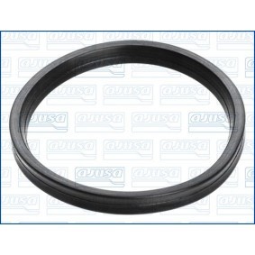 Dichtring, Lader 01493300