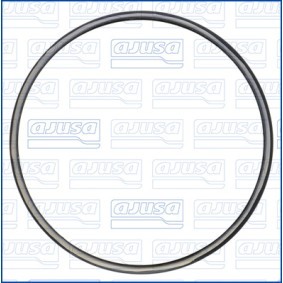 Dichtring, Lader 01726100
