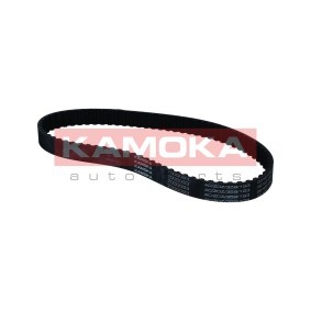 Achetez des Courroie de distribution KAMOKA 7000120 à prix pour 31,14 €