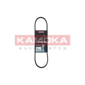 Achetez des Courroie Poly-V KAMOKA 7013007 à prix pour 5,96 €