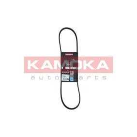 Achetez des Courroie d'alternateur de chez KAMOKA en ligne pour NEON II à prix modérés