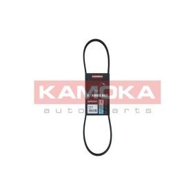 Acquista Cinghia servizi da KAMOKA online per PASSAT Variant (3B6) a prezzi moderati