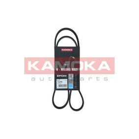 Achetez des Courroie d'alternateur de chez KAMOKA en ligne pour NEON II à prix modérés