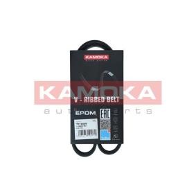 Keilrippenriemen von KAMOKA für 106 I (1A, 1C) günstig online kaufen