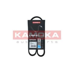 Acquista Cinghia servizi da KAMOKA online per PREVIA (MCR3_, ACR3_, CLR3_) a prezzi moderati