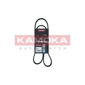 Acquista Cinghia servizi da KAMOKA online per Touareg (7LA, 7L6, 7L7) a prezzi moderati