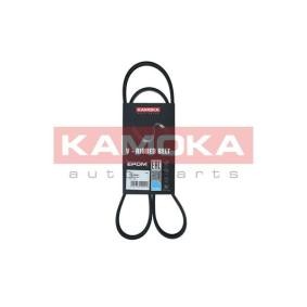 Keilrippenriemen 7015041