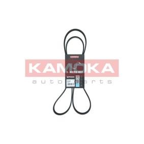 Achetez des Courroie Poly-V KAMOKA 7015069 à prix pour 15,43 €