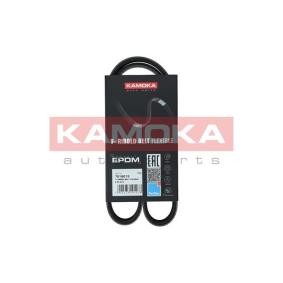 Achetez des Courroie Poly-V KAMOKA 7016015 à prix pour 17,33 €
