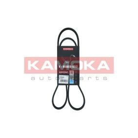 Achetez des Courroie d'alternateur de chez KAMOKA en ligne pour C1 II (PA, PS) à prix modérés