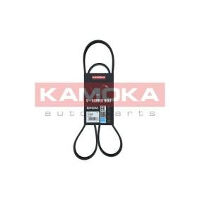 Compre Correa de alternador de KAMOKA online para SUPERB Ranchera familiar (3T5) a precios moderados