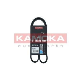 Achetez des Courroie d'alternateur de chez KAMOKA en ligne pour 207 SW Van / Break (WK_) à prix modérés