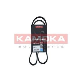 Achetez des Courroie Poly-V KAMOKA 7016049 à prix pour 12,41 €