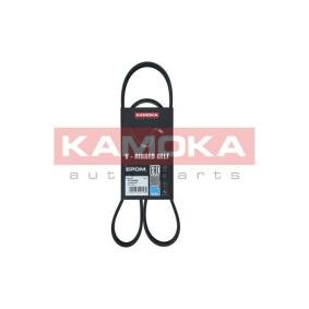 Achetez des Courroie Poly-V KAMOKA 7016066 à prix pour 11,90 €