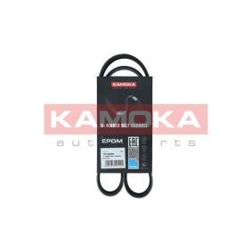 Achetez des Courroie d'alternateur de chez KAMOKA en ligne pour C4 I Van / 3/5 portes (LR_) à prix modérés