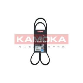 Achetez des Courroie Poly-V KAMOKA 7016089 à prix pour 14,83 €